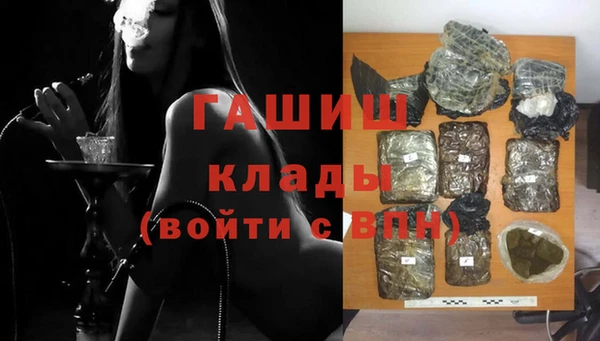 ПСИЛОЦИБИНОВЫЕ ГРИБЫ Гусев