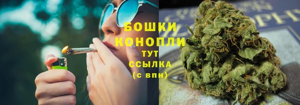 ПСИЛОЦИБИНОВЫЕ ГРИБЫ Гусев