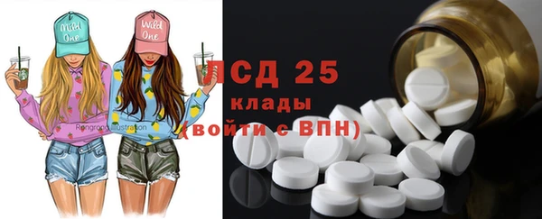 сатива Горняк