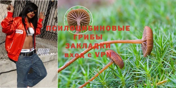 ешки Горно-Алтайск