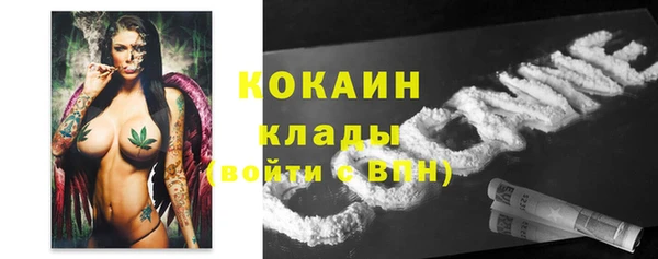 ПСИЛОЦИБИНОВЫЕ ГРИБЫ Гусев