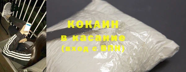 ПСИЛОЦИБИНОВЫЕ ГРИБЫ Гусев