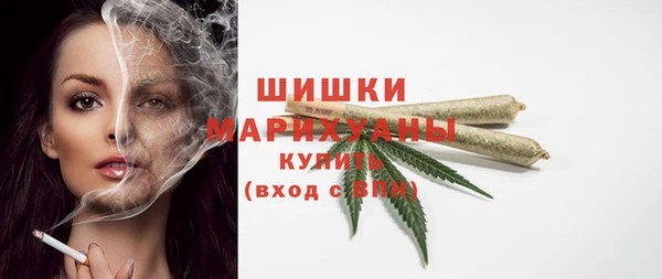 ПСИЛОЦИБИНОВЫЕ ГРИБЫ Гусев