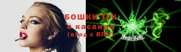 сатива Горняк