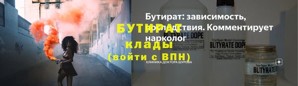 сатива Горняк