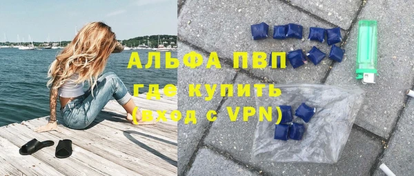 сатива Горняк