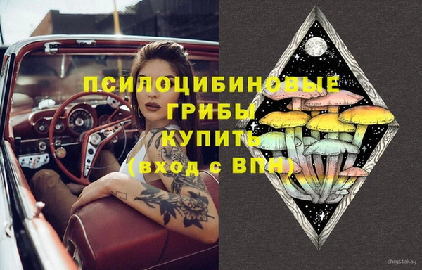 мескалин Горнозаводск