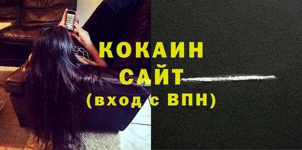 ПСИЛОЦИБИНОВЫЕ ГРИБЫ Гусев
