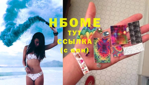сатива Горняк