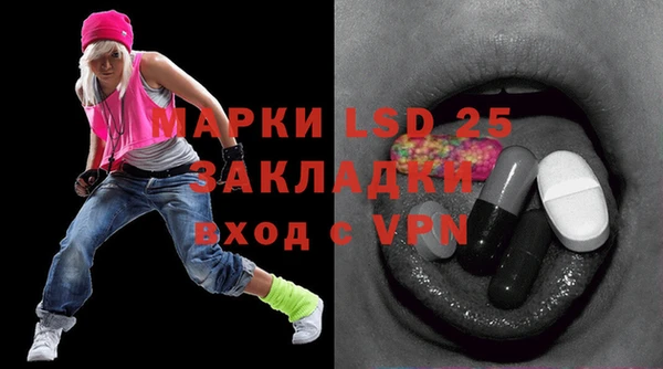 ПСИЛОЦИБИНОВЫЕ ГРИБЫ Гусев