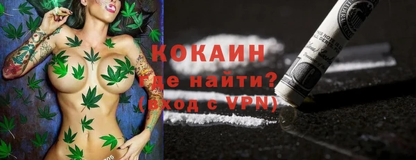 сатива Горняк